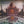 KOOL AND THE GANG | OPEN SESAME - US