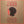 PHOEBE SNOW | BEST OF PHOEBE SNOW - NZ - BIT ROUGH