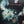 CURE | DISINTEGRATION