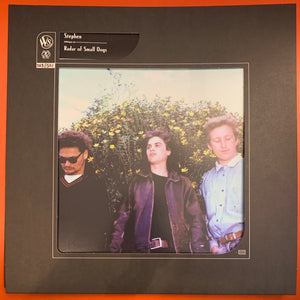 STEPHEN | RADAR OF SMALL DOGS