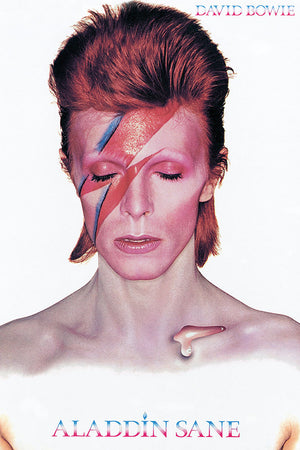 DAVID BOWIE ALADDIN SANE POSTER 685