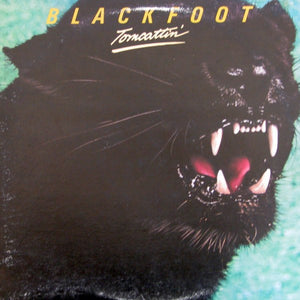BLACKFOOT | TOMCATTIN - US