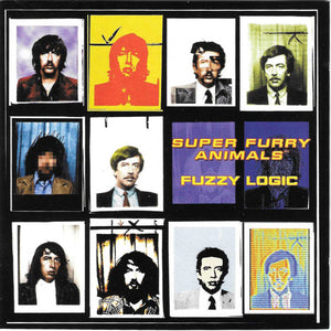 SUPER FURRY ANIMALS | FUZZY LOGIC