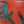 BAMBINO | BAMBINO