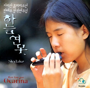 HAN TAE JOO | SKYLAKE