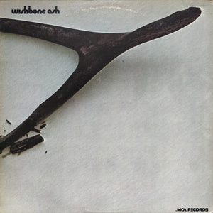 WISHBONE ASH | WISHBONE ASH - US MCA REISSUE - WATER DAMAGE ON COVER