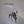 CRAZY HORSE / NEIL YOUNG | AT CROOKED LAKE