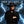 HANK WILLIAMS JR | WILD STREAK - AU