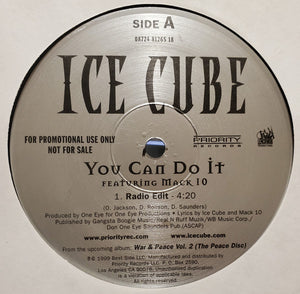 ICE CUBE | YOU CAN DO IT 12 - US PROMO - GENERIC SLEEVE WITH HYPE STICKER