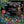 ANDREW KAZDIN / THOMAS Z SHEPARD | EVERYTHING YOU ALWAYS WANTED TO HEAR ON THE MOOG - AU