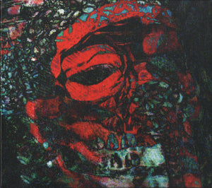 WARPAINT | FOOL (BONUS EP) (DIGI)