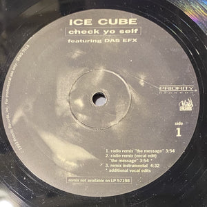 ICE CUBE | CHECK YO SELF / IT WAS A GOOD DAY 12 - US PROMO - GENERIC SLEEVE