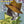 NEIL HANNAN | WHAT WERE WE THINKING