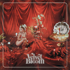 VELVET BLOOM | VELVET BLOOM
