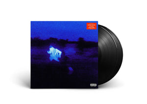 DANIEL CAESAR | NEVER ENOUGH (2LP SET) (VINYL)