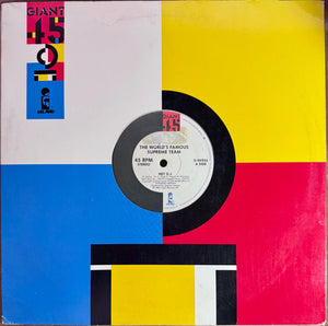 WORLDS FAMOUS SUPREME TEAM | HEY DJ 12 - US - GENERIC RECORD COMPANY SLEEVE