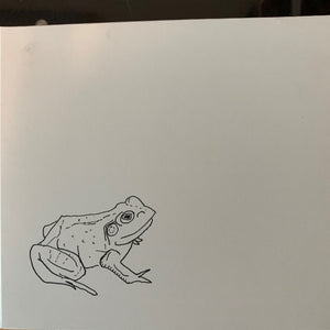 AOIFE ODONOVAN | BULL FROGS CROON AND OTHER SONGS (DIGI)
