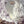 YES | RELAYER - US