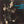 GEORGE THOROGOOD AND THE DESTROYERS | MORE GEORGE THOROGOOD AND THE DESTROYERS - US
