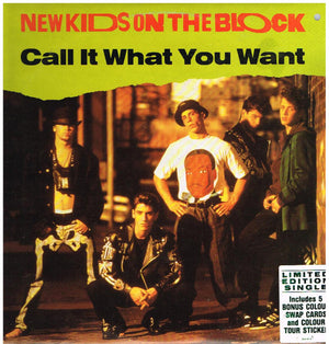 NEW KIDS ON THE BLOCK | CALL IT WHAT YOU WANT 12