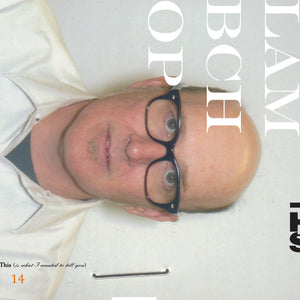 LAMBCHOP | THIS (IS WHAT I WANTED TO TELL YOU)