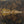 BAND OF HORSES | EVERYTHING ALL THE TIME
