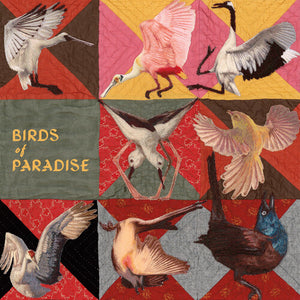 THOMAS DOLLBAUM | BIRDS OF PARADISE (DIGI)