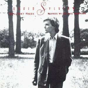 DAVID SYLVIAN | BRILLIANT TREES/WORDS WITH THE SHAMAN