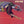 APRIL WINE | ANIMAL GRACE