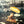 SUPERTRAMP | CRISIS WHAT CRISIS - NZ / AU