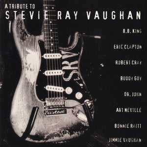 STEVIE RAY VAUGHAN / VARIOUS | TRIBUTE TO STEVIE RAY VAUGHAN