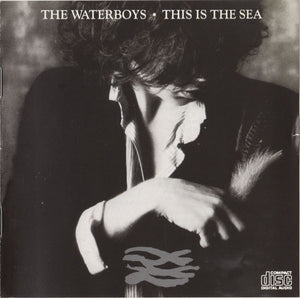 WATERBOYS | THIS IS THE SEA
