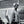 PRIMAL SCREAM | STAR - 12