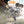 TRAVIE MCCOY | LAZARUS - TANGERINE