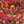 CREAM | DISRAELI GEARS (REMASTERED)