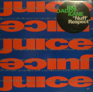 BIG DADDY KANE | NUFF RESPECT 12 PROMO