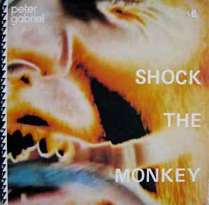 PETER GABRIEL | SHOCK THE MONKEY - 12