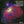 SIMPSON / HANDLEY | SYMNPHONY NO 1/8