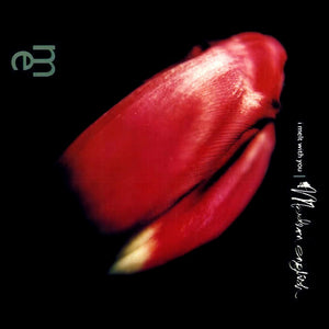 MODERN ENGLISH | I MELT WITH YOU CD5
