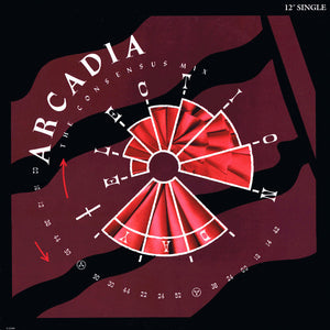 ARCADIA | ELECTION DAY - CONSENSUS MIX - 12