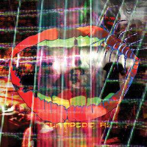 ANIMAL COLLECTIVE | CENTIPEDE HZ - 2LP