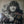 DELANEY AND BONNIE | D AND B TOGETHER - WRITING ON COVER