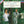 TE KANAWA / IRONS / GIELGUD / MITCHELL | MY FAIR LADY