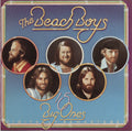 Image for BEACH BOYS | 15 BIG ONES