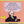 HAYDN / AMADEUS QUARTET | 6 STRING QUARTETS OP 71/74/77 (3CD)