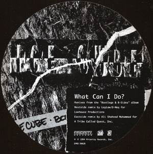 ICE CUBE | WHAT CAN I DO? 12 - US PROMO - SLEEVE WEAR