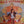 NILS LOFGREN | NILS LOFGREN - US