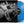 BLEACHERS | BLEACHERS (BLUE 2LP EDITION) (VINYL)