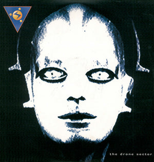 PLANETARY ASSAULT SYSTEMS | DRONE SECTOR - 2LP - ROUGH COVER