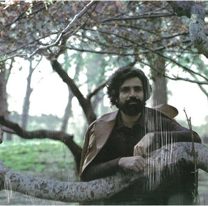FELIX CAVALIERE | DESTINY